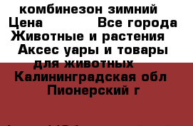 комбинезон зимний › Цена ­ 1 300 - Все города Животные и растения » Аксесcуары и товары для животных   . Калининградская обл.,Пионерский г.